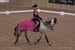 Lusitano Breed Society of Great Britain Show - Hartpury College - 27th June 2009